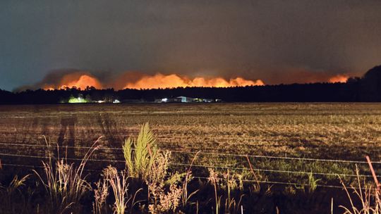 Bunker Fire Sees National Firefighting Resources