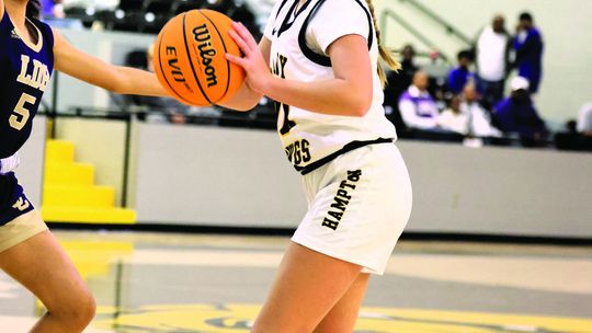 Hampton basketball teams