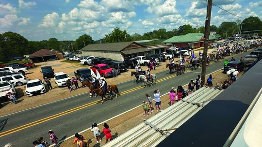 More Highlights From Hogskin Holidays—