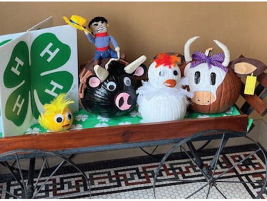 2025 Calhoun County 4-H Pumpkin Decorating Contest Winners: