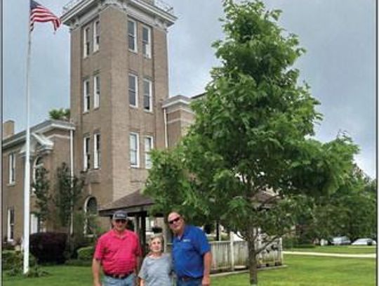 Bemis Tree Farm Donates White Oak