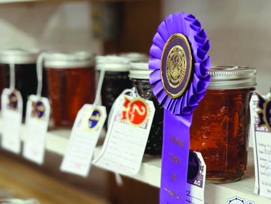 Best of Show Winners – Calhoun County Fair 2025