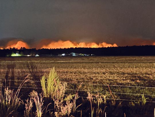 Bunker Fire Sees National Firefighting Resources