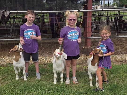 Calhoun County 4-H members Grady Morris,