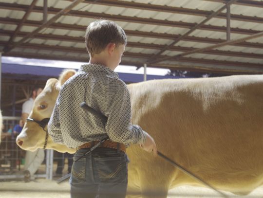 Calhoun County Fair Week