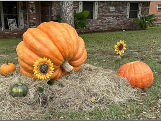 Fall Pumpkins Spice Up 6th Street