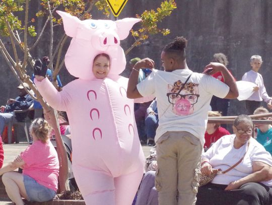 Hogskin Holiday Highlights