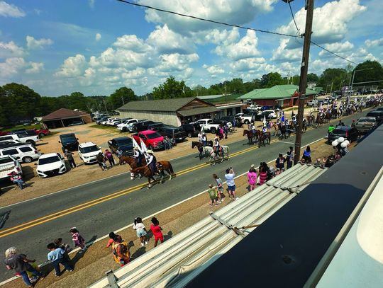 More Highlights From Hogskin Holidays—