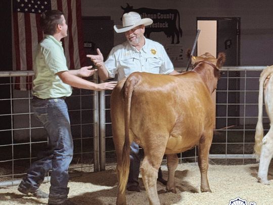 OLD TIMERS SHOWMANSHIP