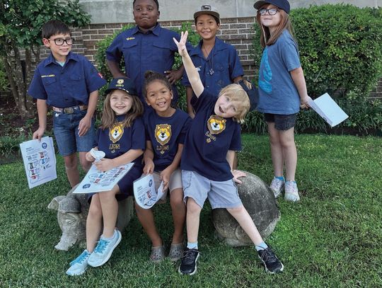 Pack 159 Hampton, Arkansas Calhoun County Cub Scouts