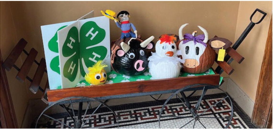 2025 Calhoun County 4-H Pumpkin Decorating Contest Winners: