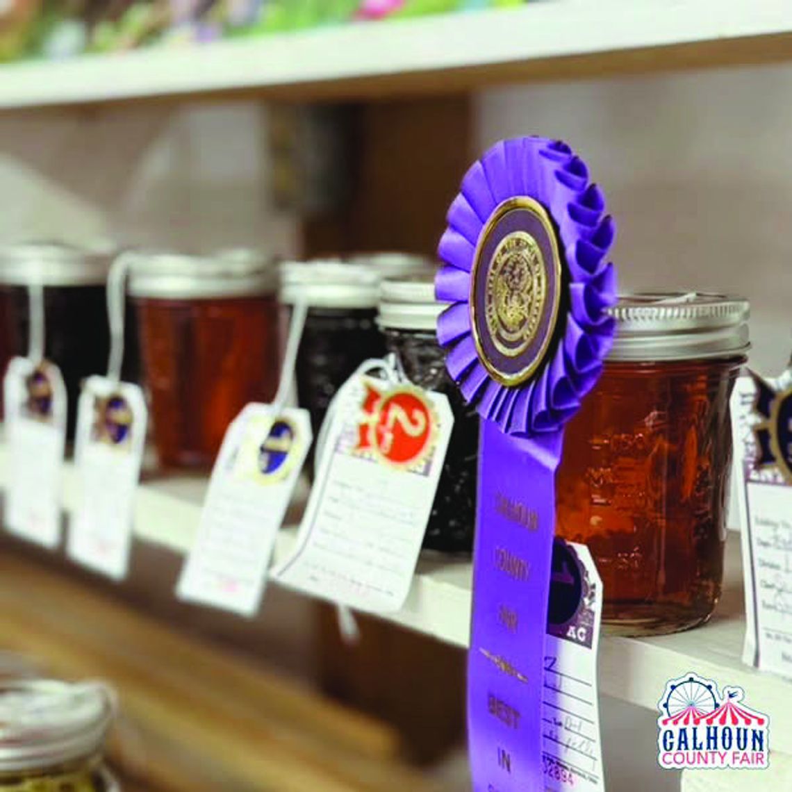 Best of Show Winners – Calhoun County Fair 2025