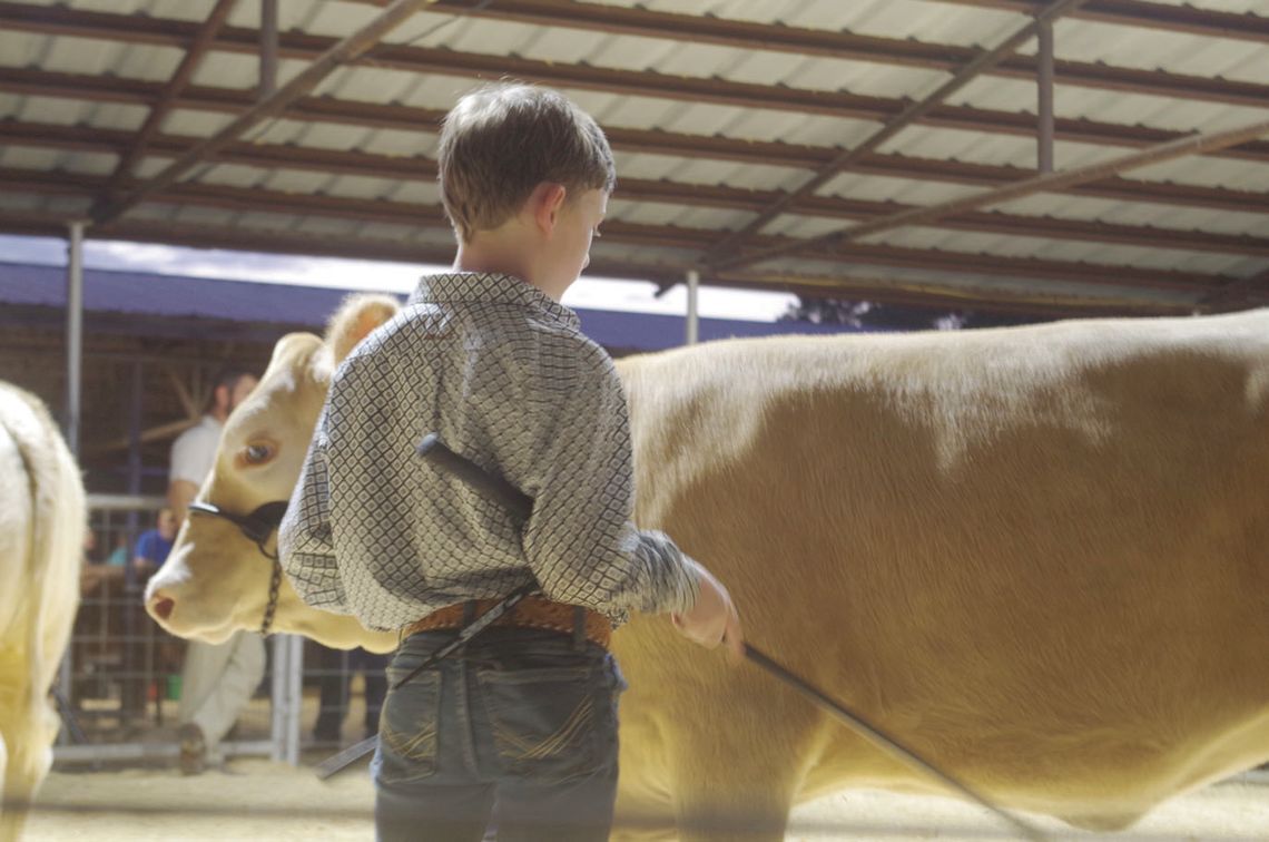 Calhoun County Fair Week