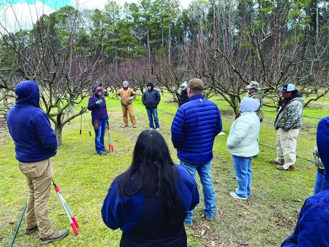 Fruit Tree Scouting and Pruning