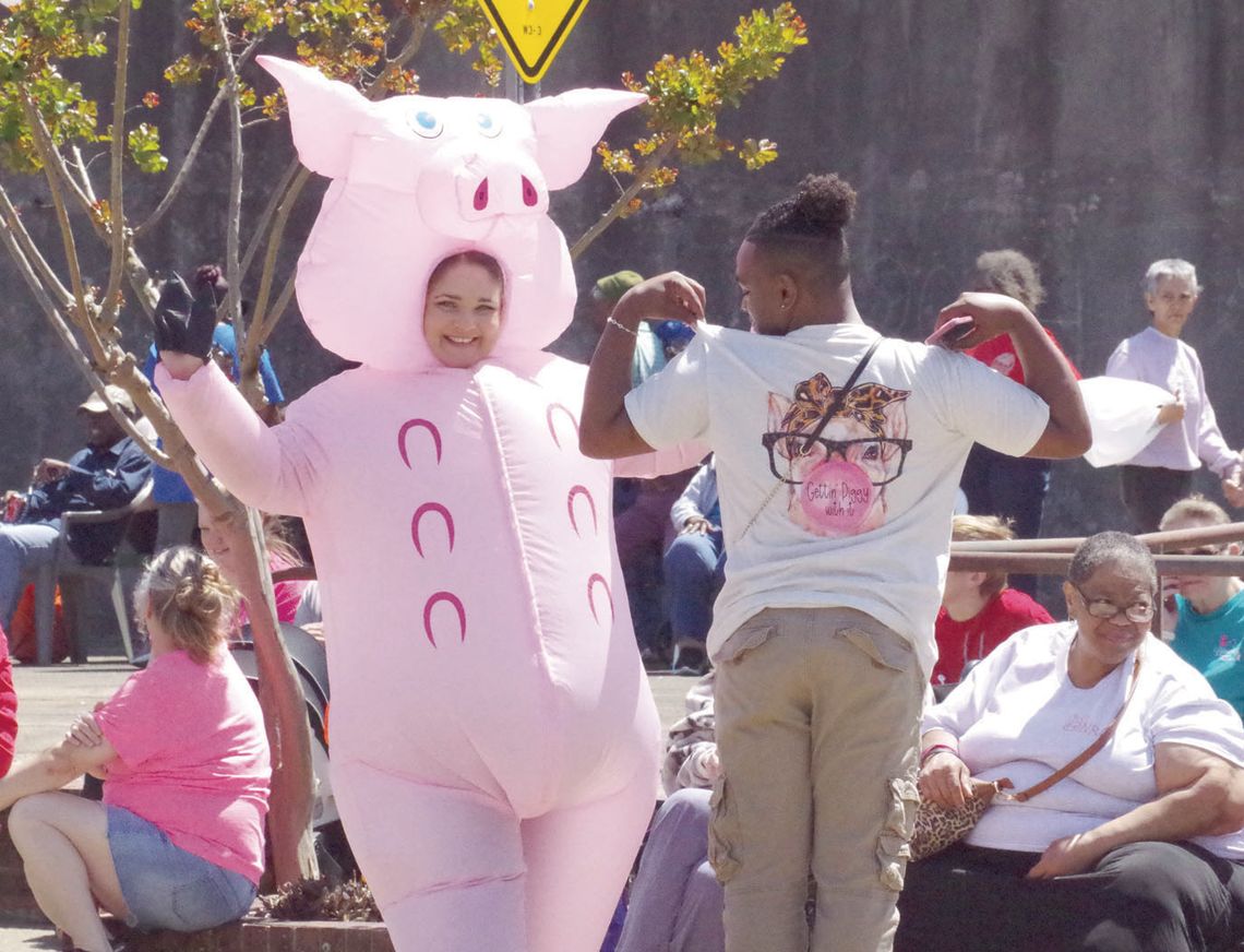 Hogskin Holiday Highlights